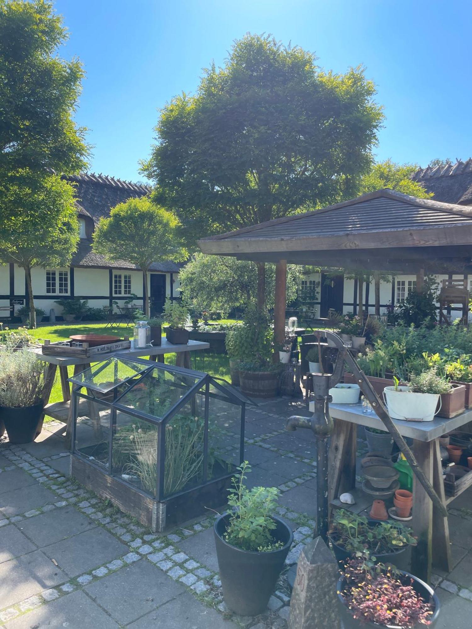 Slangerupgaard Bed & Breakfast Fakse Ladeplads Dış mekan fotoğraf
